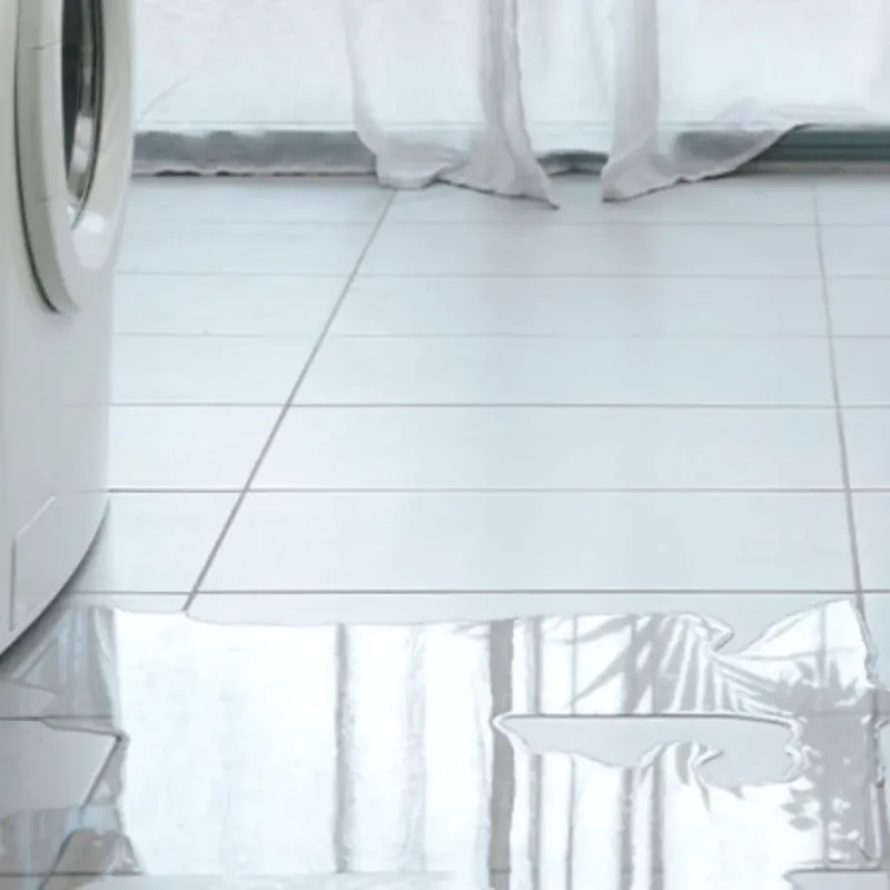 Appliance Leak Cleanup in Homer, LA