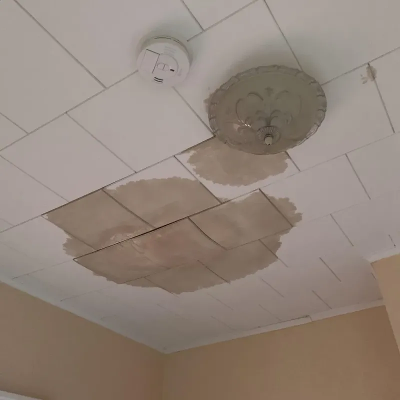 Ceiling Water Damage Repair in Homer, LA