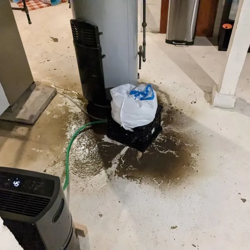 Sewage Backup Cleanup Service in Homer, LA